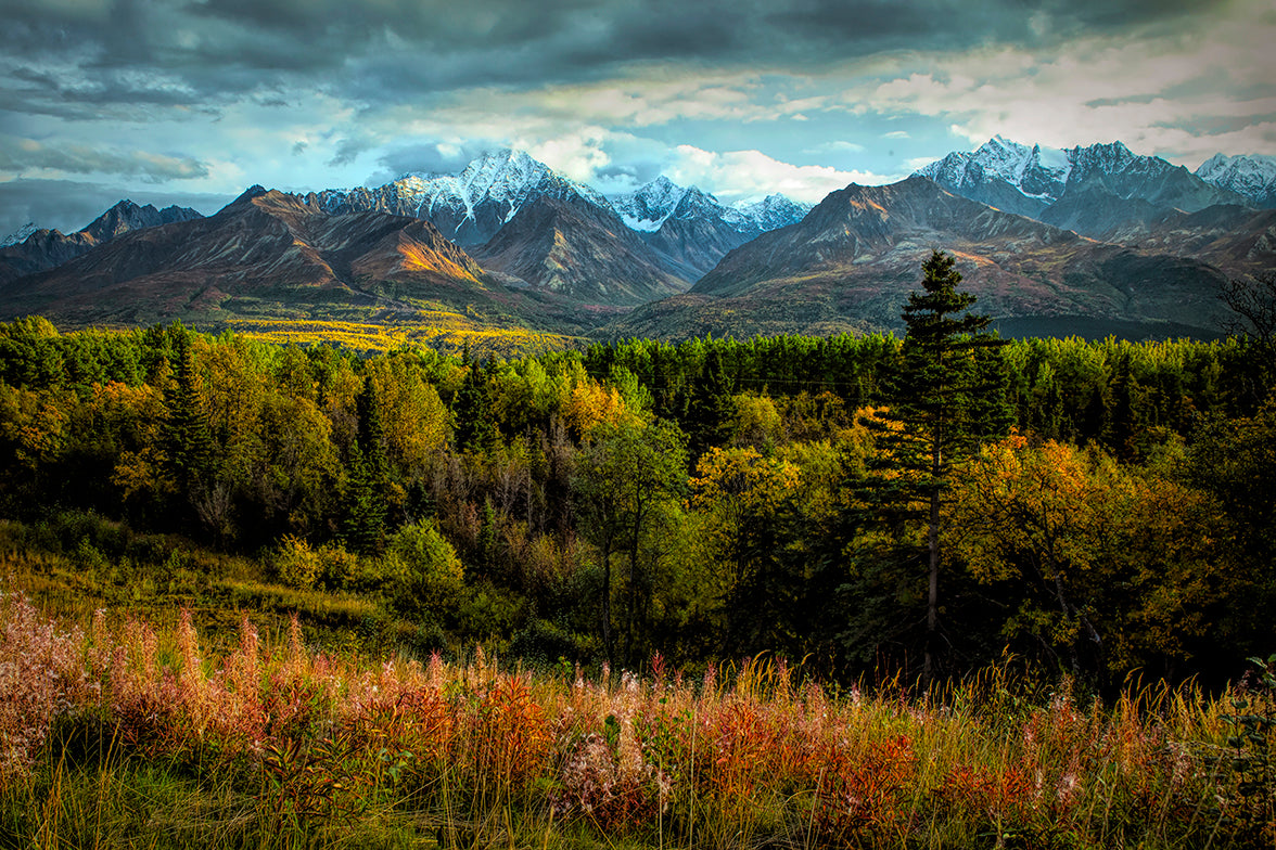 Alaskan Fall