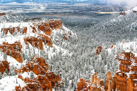 Snow on the Hoodoo's