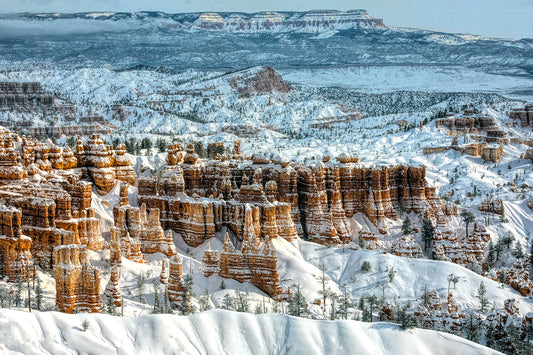 Snowy Bryce Canyon