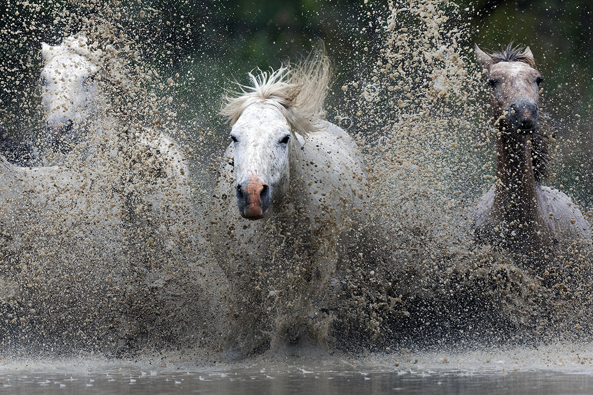 Running Water