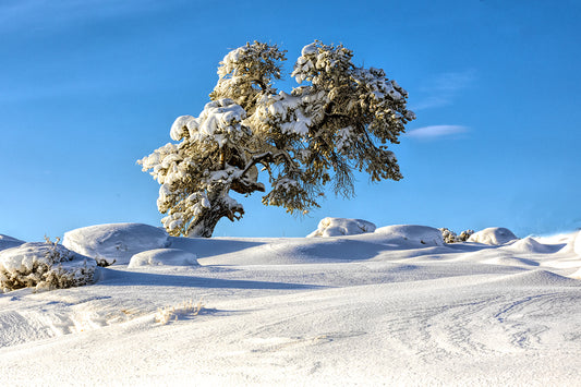 Canyon Land Snow