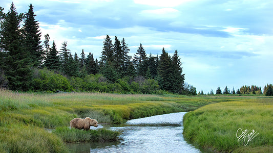 On the  Creek