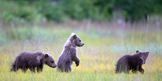 Three at Play