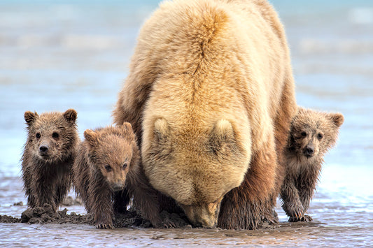 Family Outing