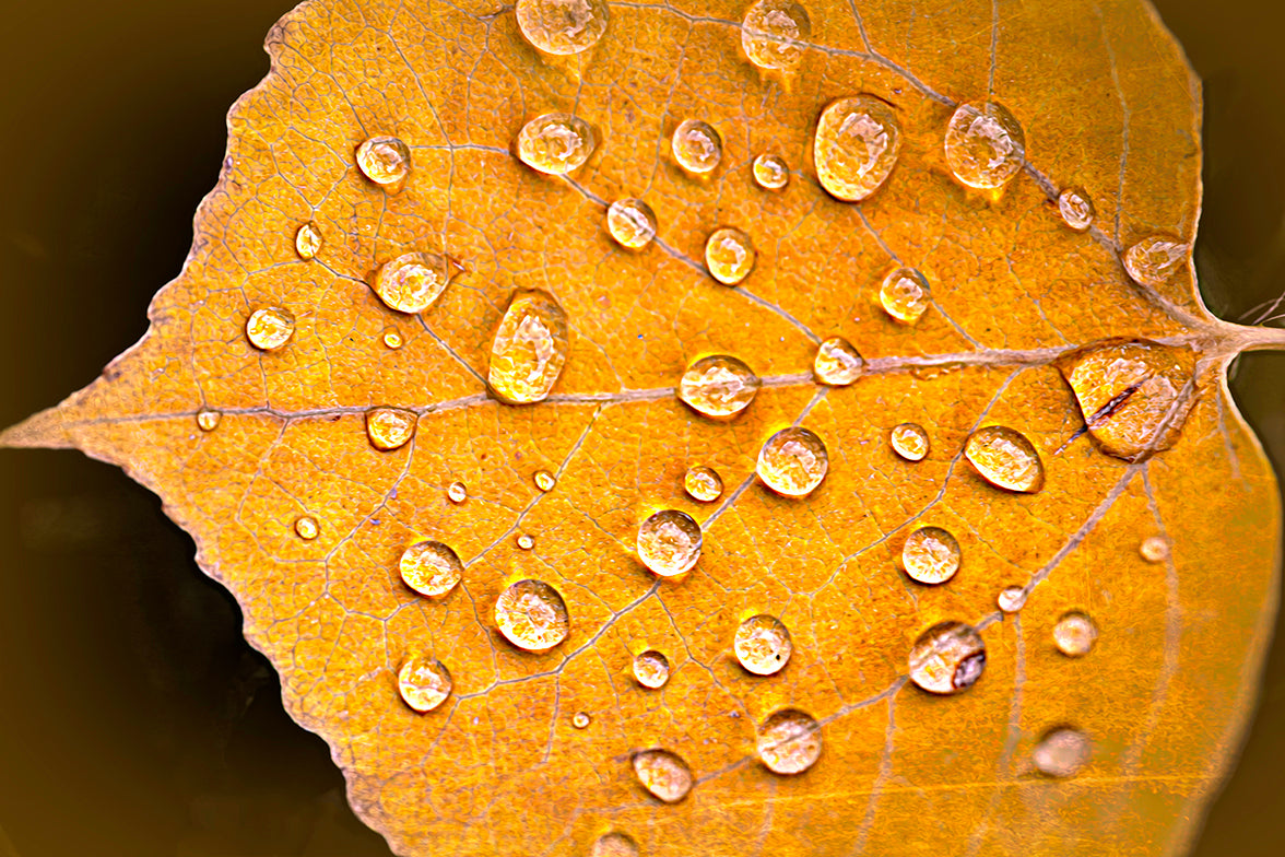 Tears in Nature