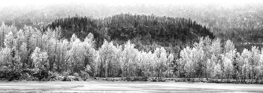 Frost on the Bank