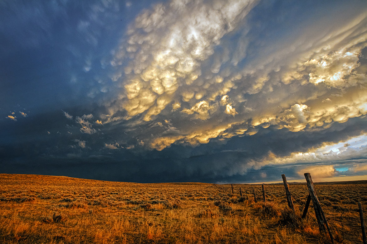 Cotton Clouds