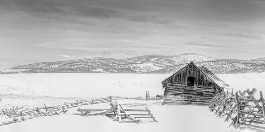 Montana Winter B&W