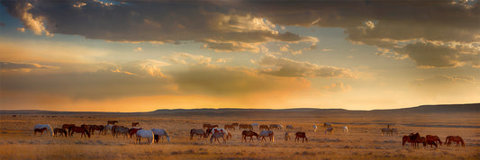 High Plains Sunrise