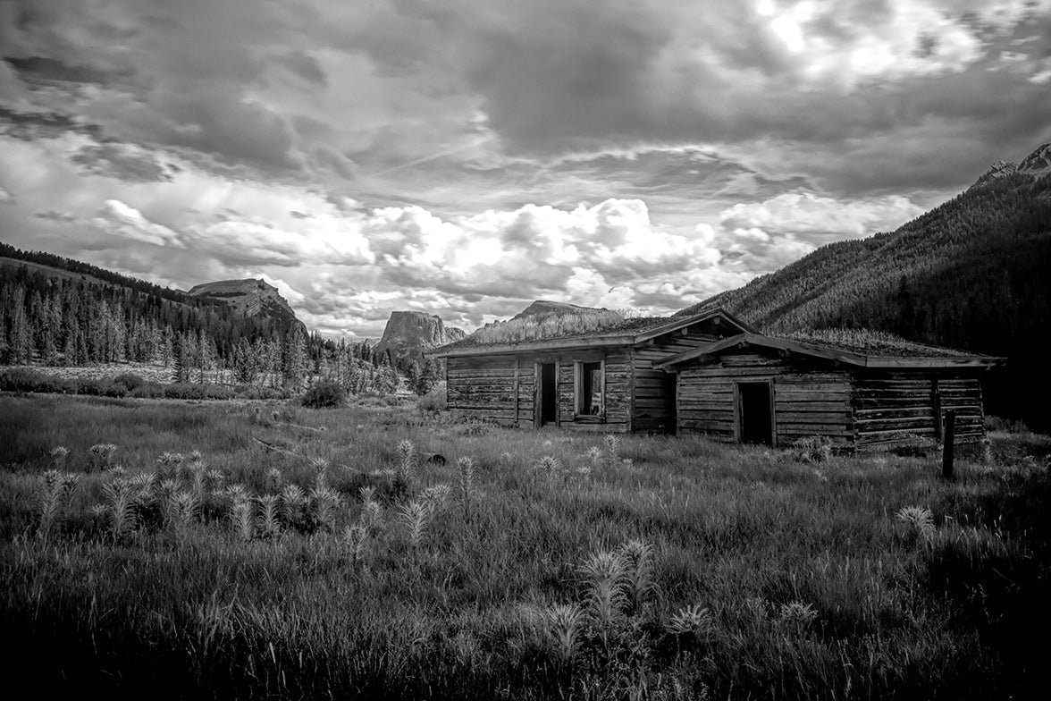 Homestead B&W