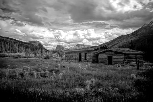 Homestead B&W