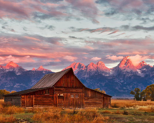 Mormon Row Sunrise