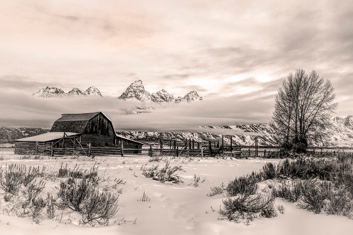 Teton Winter