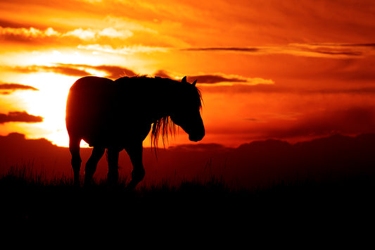 High Plains Sunset