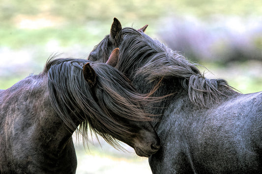 High Winds