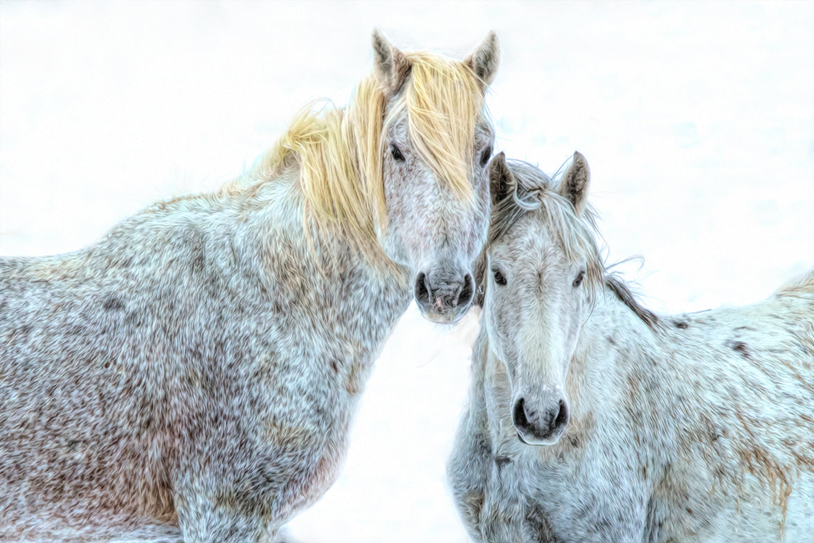 Cold Couple