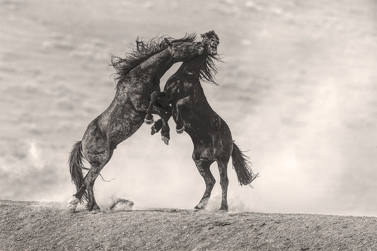 Battle on the Plains